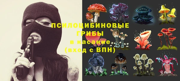 гидропоника Заволжск